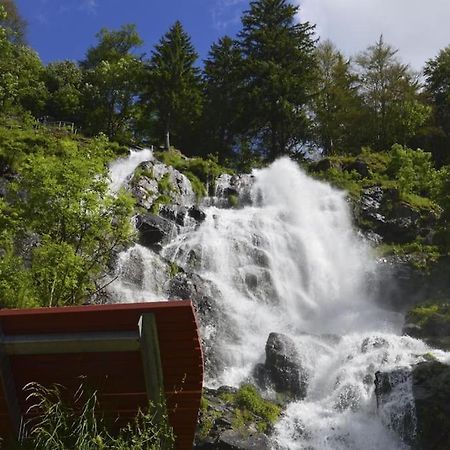 Waldlicht Titisee Ngoại thất bức ảnh