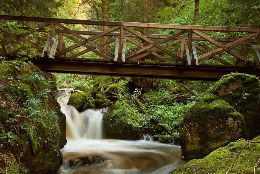 Waldlicht Titisee Ngoại thất bức ảnh