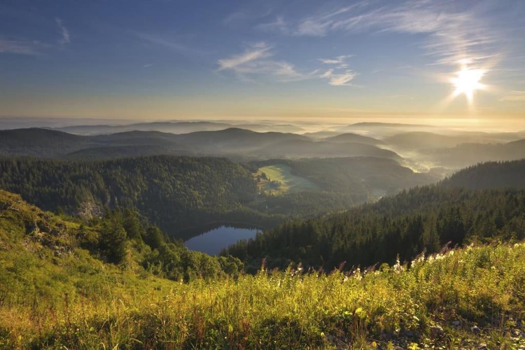 Waldlicht Titisee Ngoại thất bức ảnh