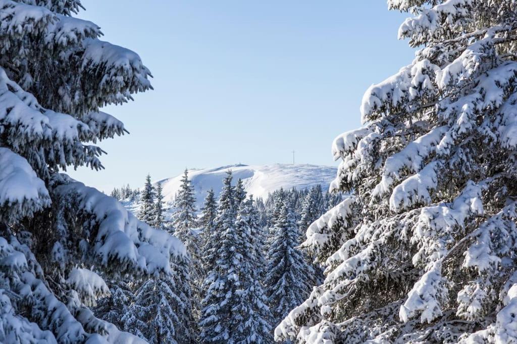 Waldlicht Titisee Ngoại thất bức ảnh