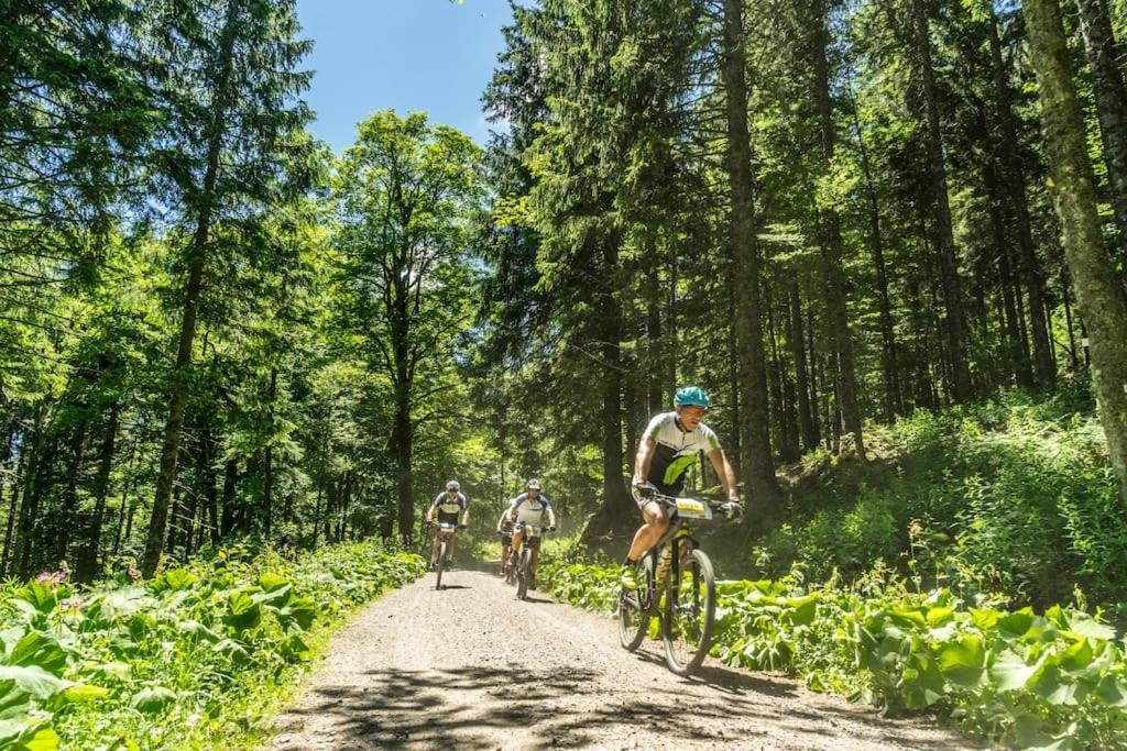 Waldlicht Titisee Ngoại thất bức ảnh