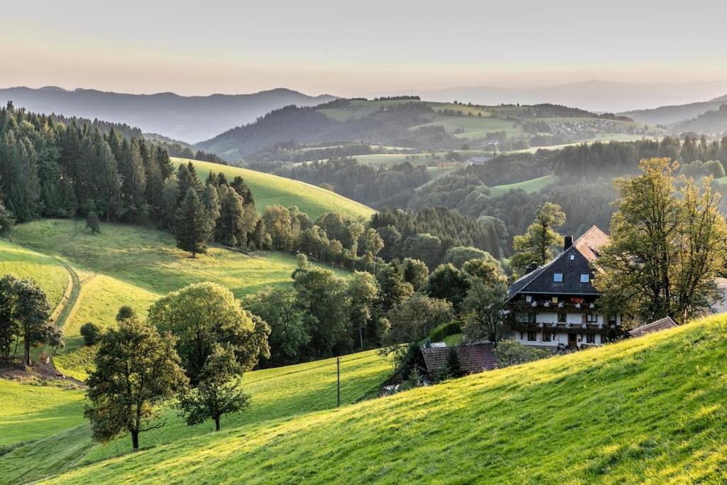 Waldlicht Titisee Ngoại thất bức ảnh